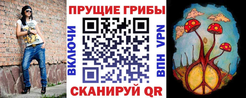 Псилоцибиновые грибы MAGIC MUSHROOMS  Котельнич 